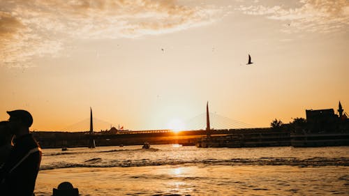 シルエット, つり橋, 日光の無料の写真素材