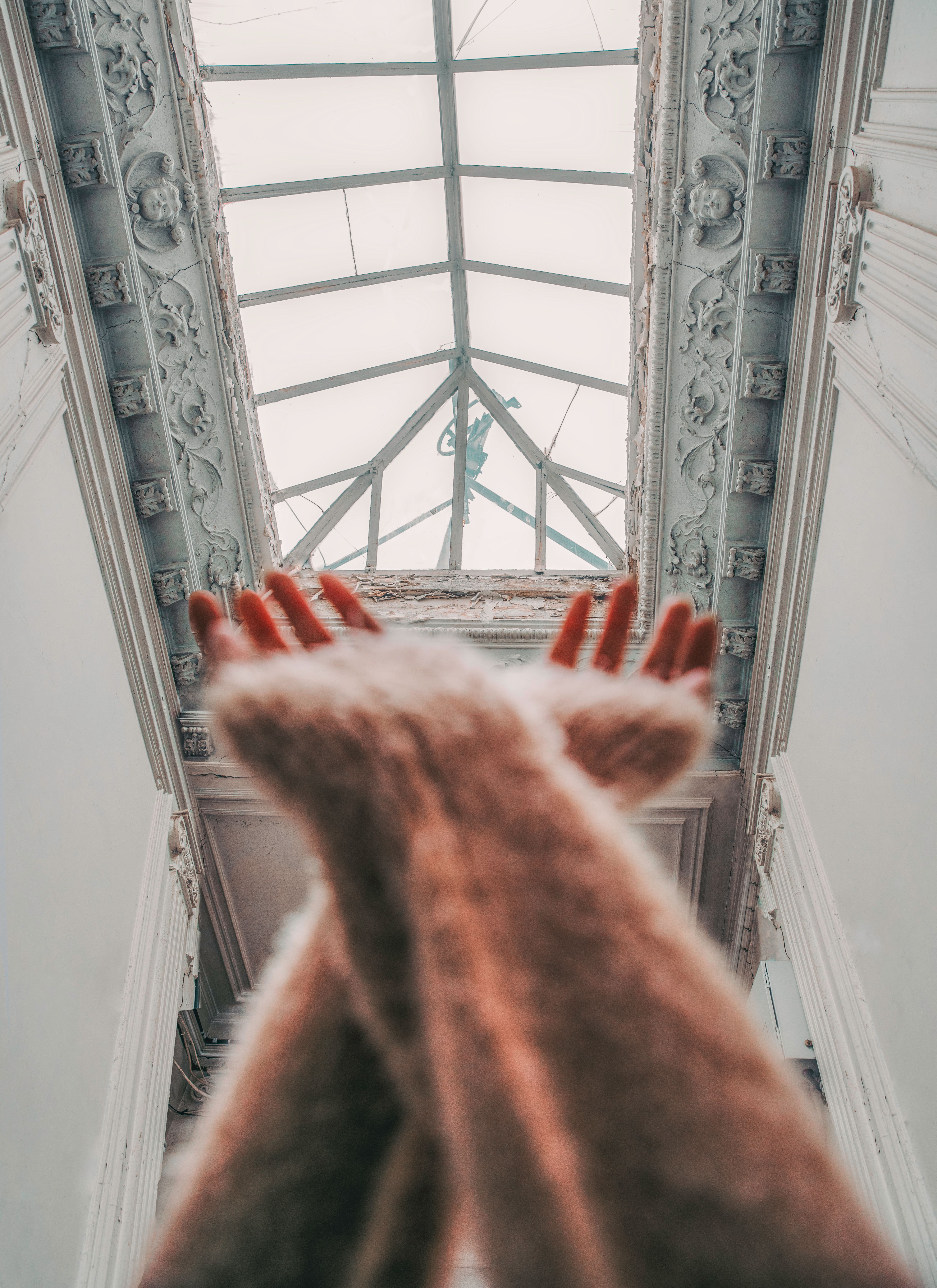 Woman Shattering A Glass Ceiling Photos, Download The BEST Free Woman ...