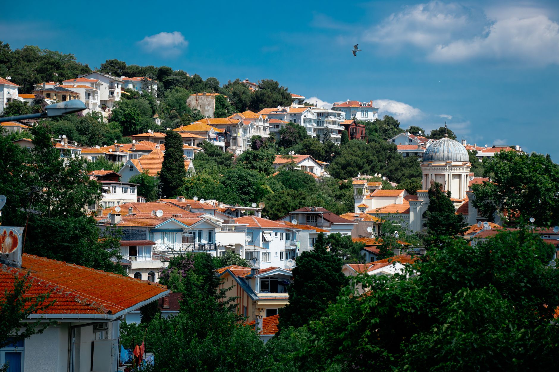 Sarıyer orman köyleri ve doğa içinde yaşam