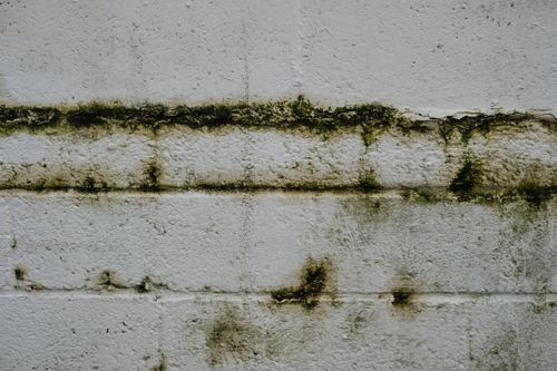 Free Close-up of an aged mossy brick wall in Greystoke, England. Stock Photo