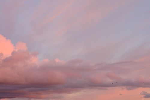 Free A beautiful display of pink and blue clouds at sunset in Penrith, England. Stock Photo