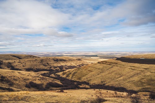 A Prairie Landscape 