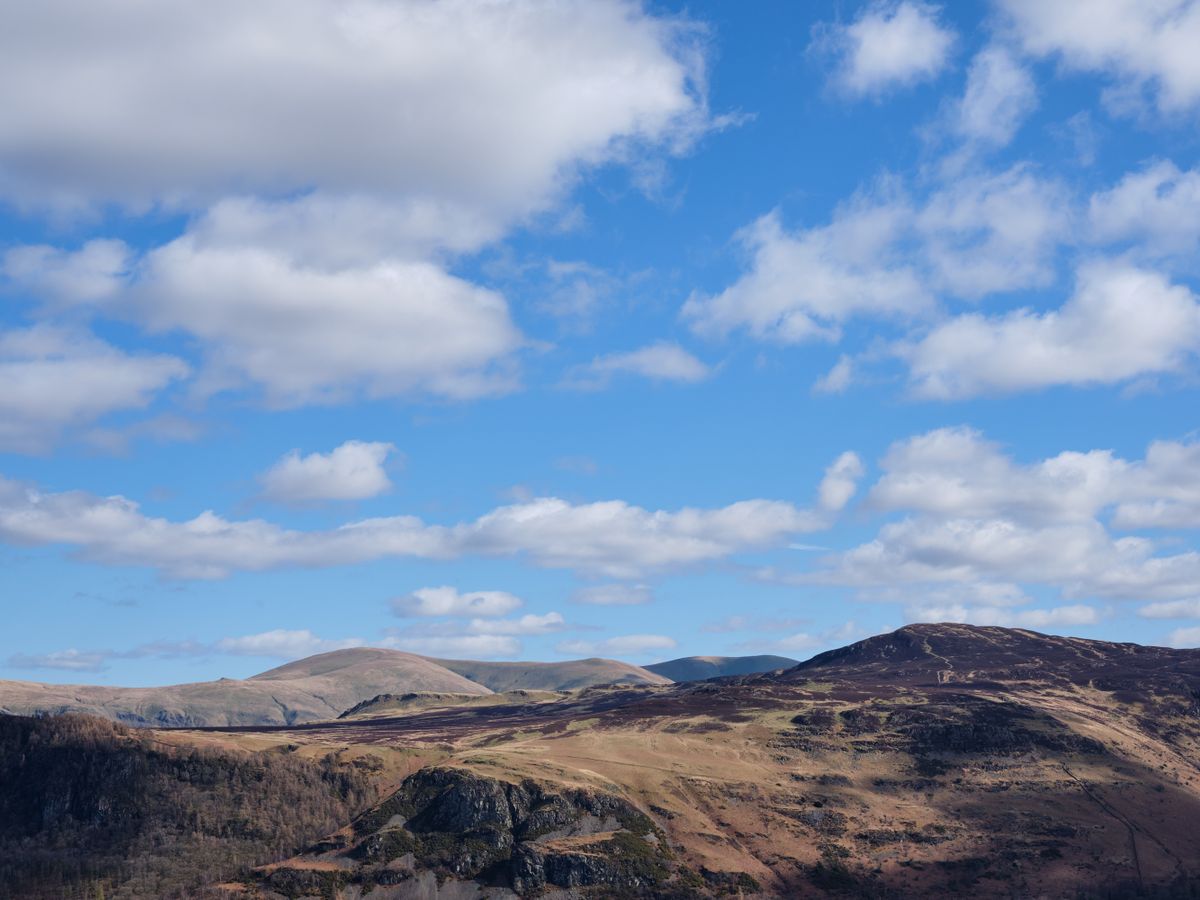 8 Day Silent Healing With Horses Retreat in Cumbria 1