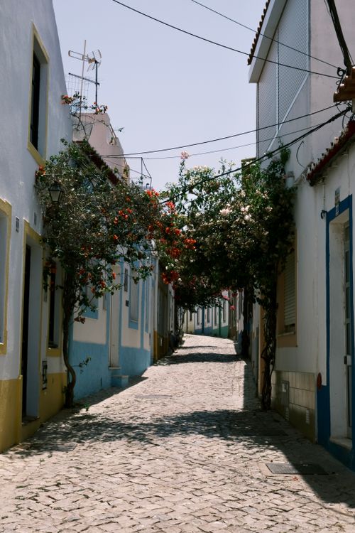 Free Beautiful sunlit cobblestone street lined with colorful flowers and quaint buildings. Stock Photo