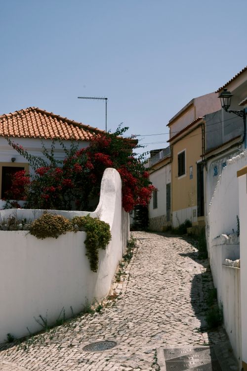 Free Picturesque cobblestone street with traditional houses and vibrant flowers in a quaint town. Stock Photo