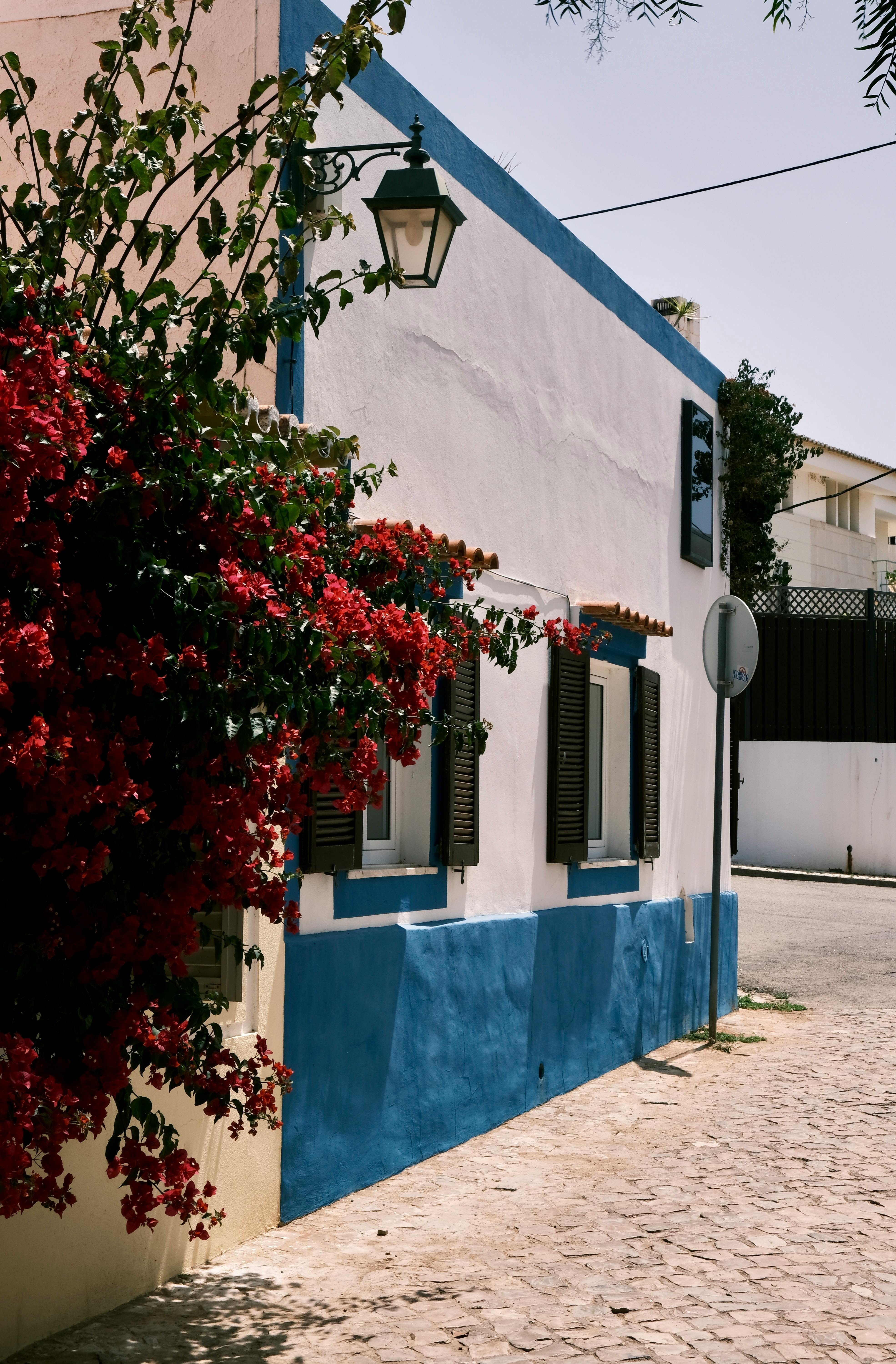 A sunlit Mediterranean street showcasing colorful architecture and lush flowers, capturing urban charm.