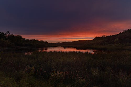 Darmowe zdjęcie z galerii z chmura deszczowa, drzewa, jezioro