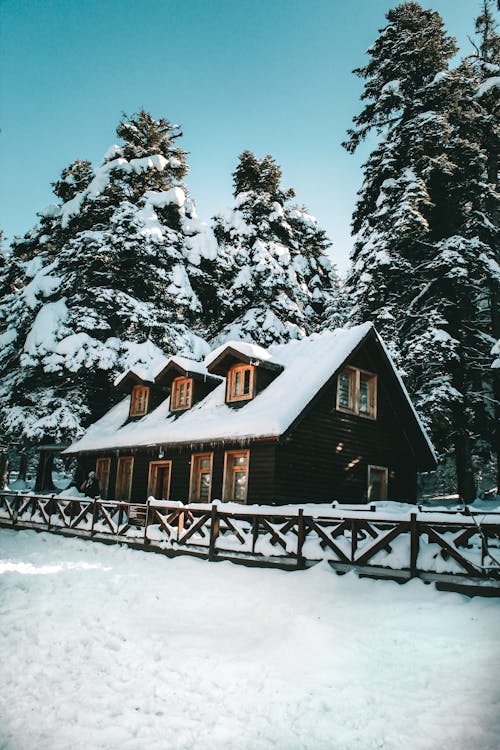 Wooden Building in Forest in Winter