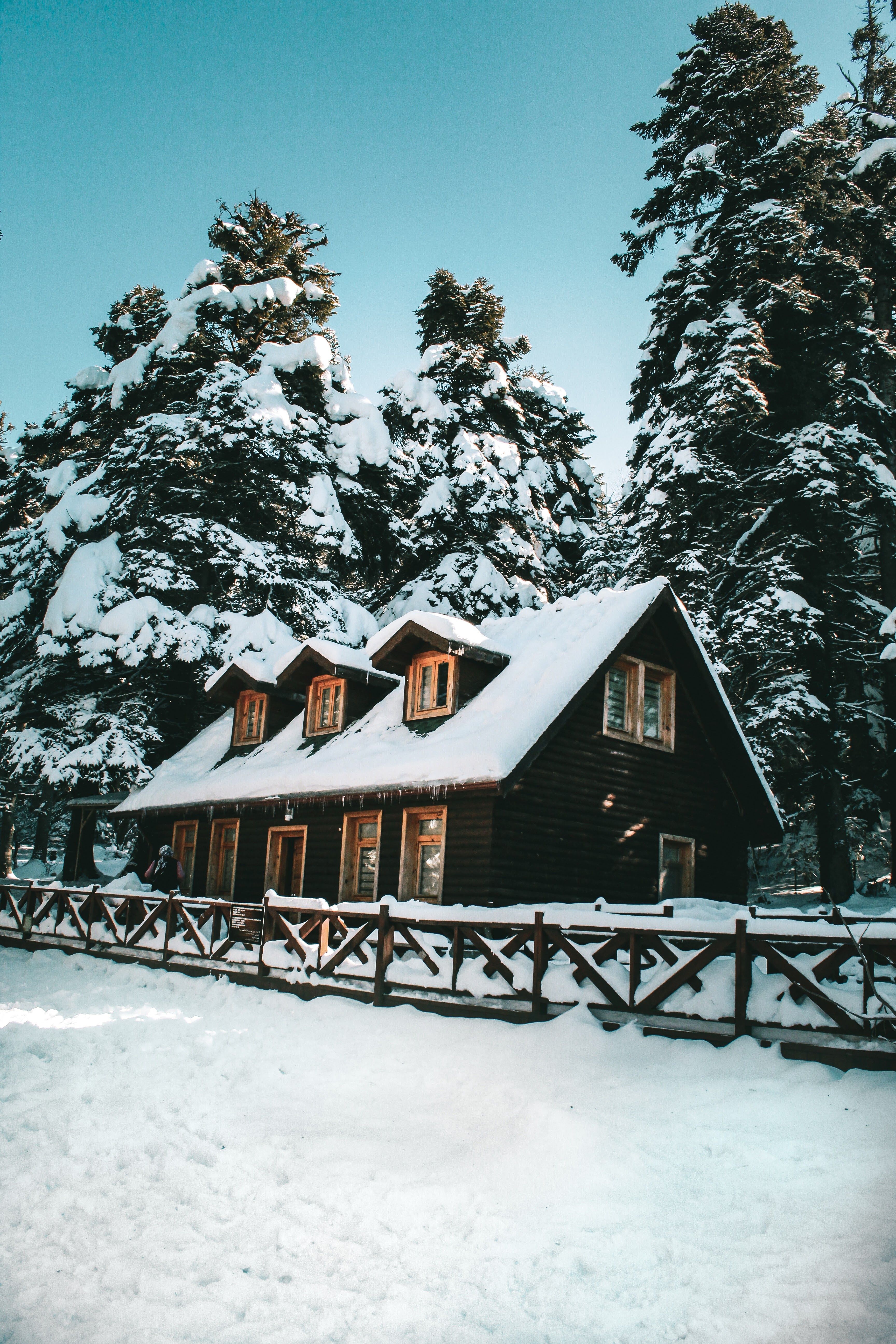 Brown Wooden House in the Middle of Snow Covered Trees · Free Stock Photo
