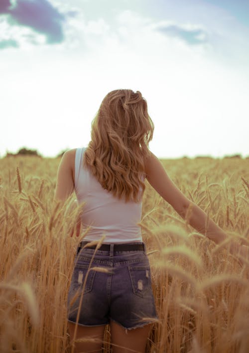 Back View of a Woman Walking on a Wheat Field in Summer 