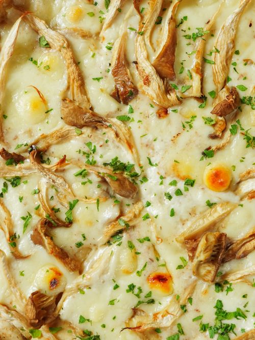 Free Delicious creamy mushroom pizza with melted cheese and fresh parsley garnished on top. Stock Photo