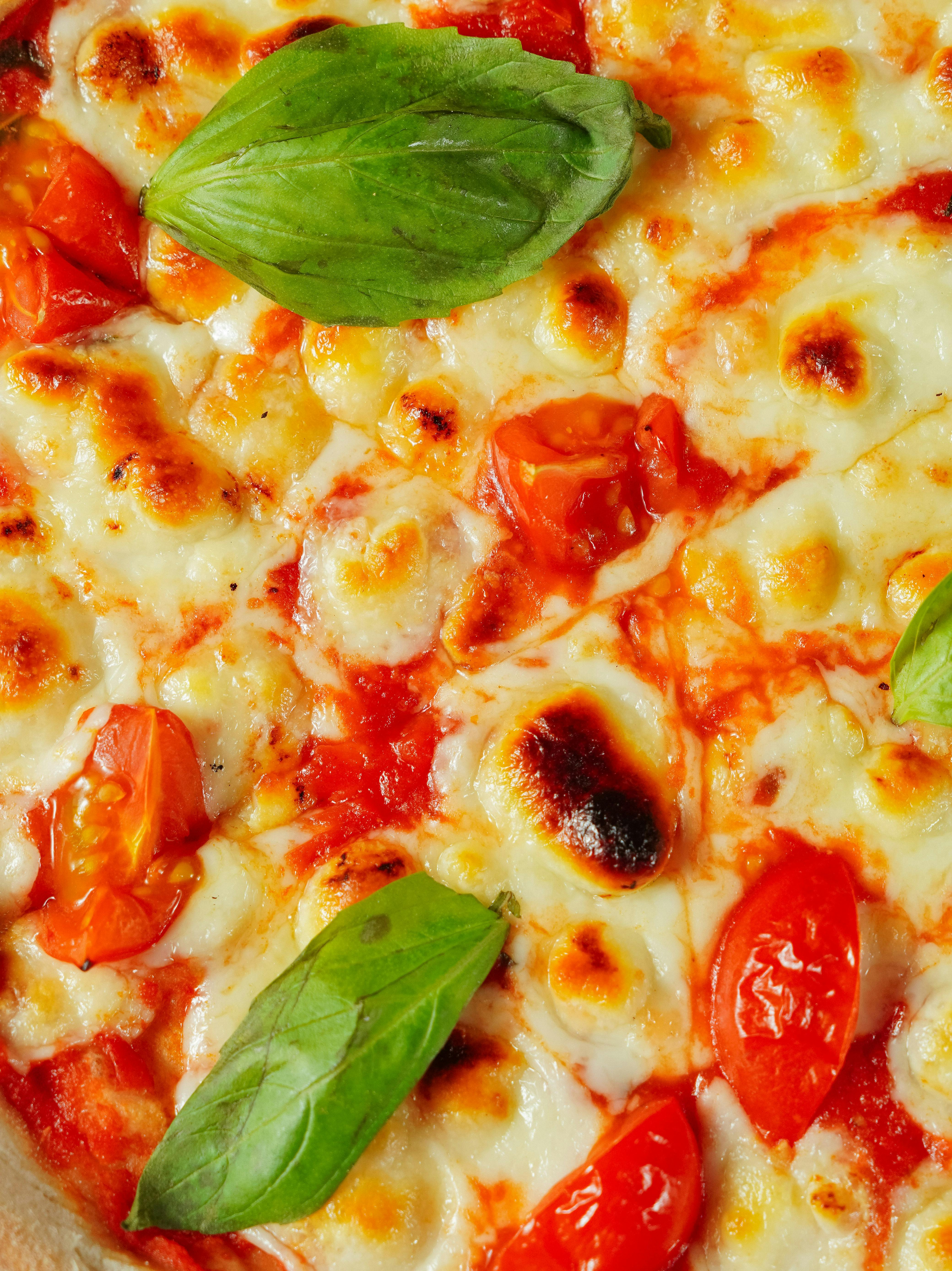 Books Cook Pizza Recipes