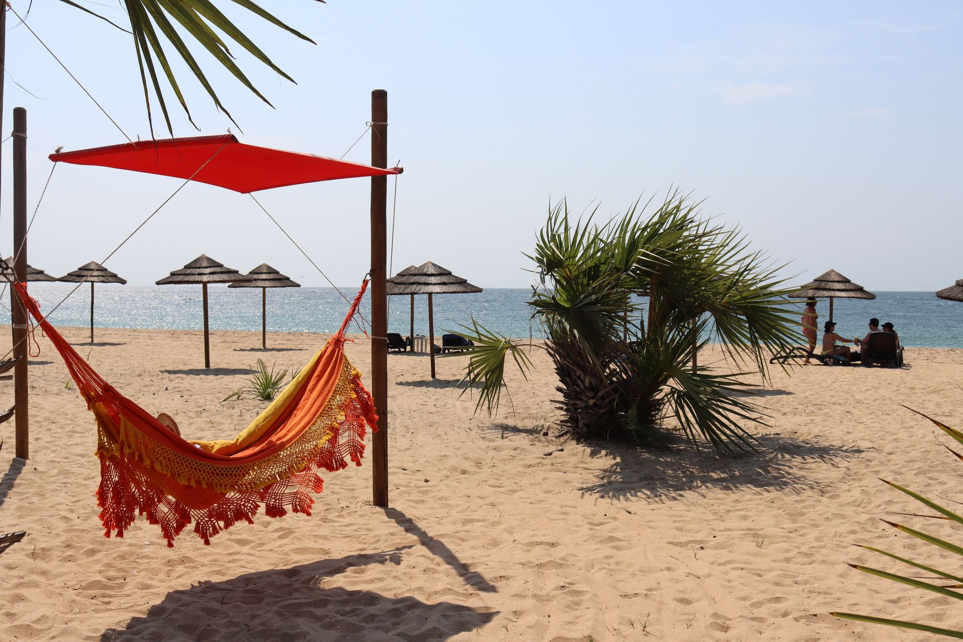 Illustration — plage de canella arinella di canella