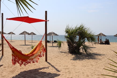 Free Hammock on Sunlit Beach Stock Photo