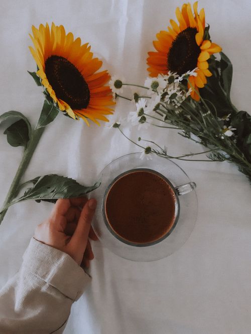 Free A hand holding a coffee cup beside vibrant sunflowers on a soft tablecloth, creating a cozy atmosphere. Stock Photo