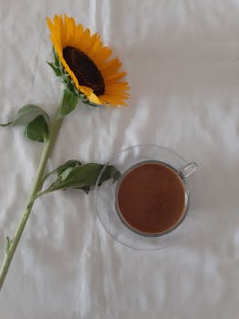 A cozy setup with a sunflower and coffee cup on a white bedsheet.