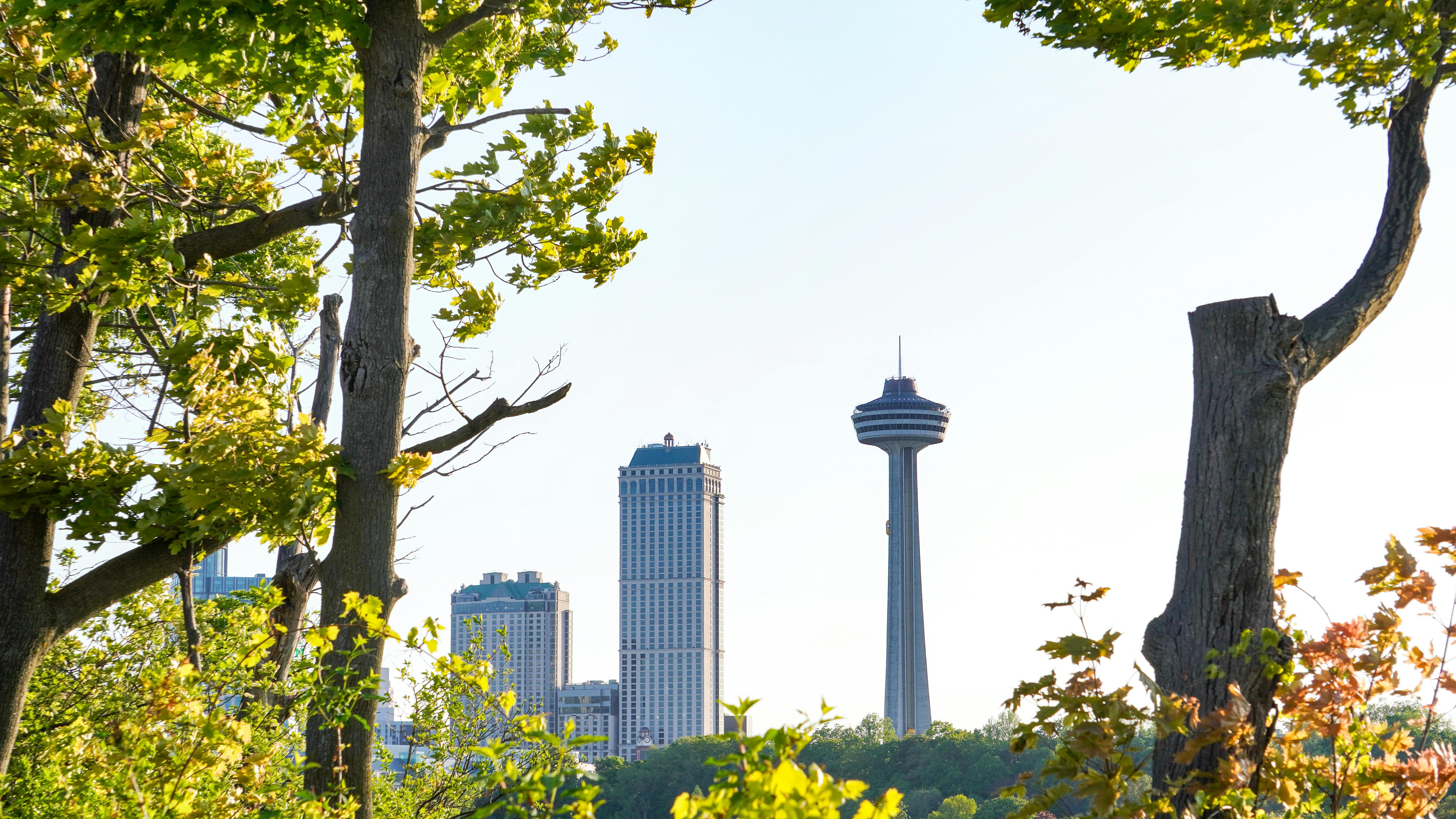 Niagara USA chamber announces search for new executive director — Photo by Koushalya  Karthikeyan on Pexels