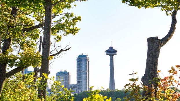 Niagara Falls skyline with Skylon Tower framed through green trees on a sunny day.