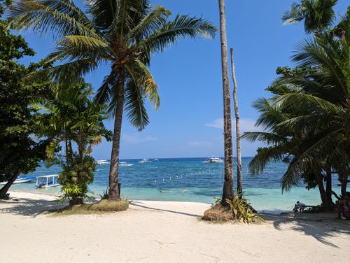 Free Idyllic tropical beach scene with palm trees and clear waters on Panglao Island, Philippines. Stock Photo