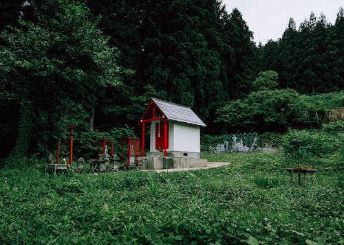 Buddhist Shrine by Forest