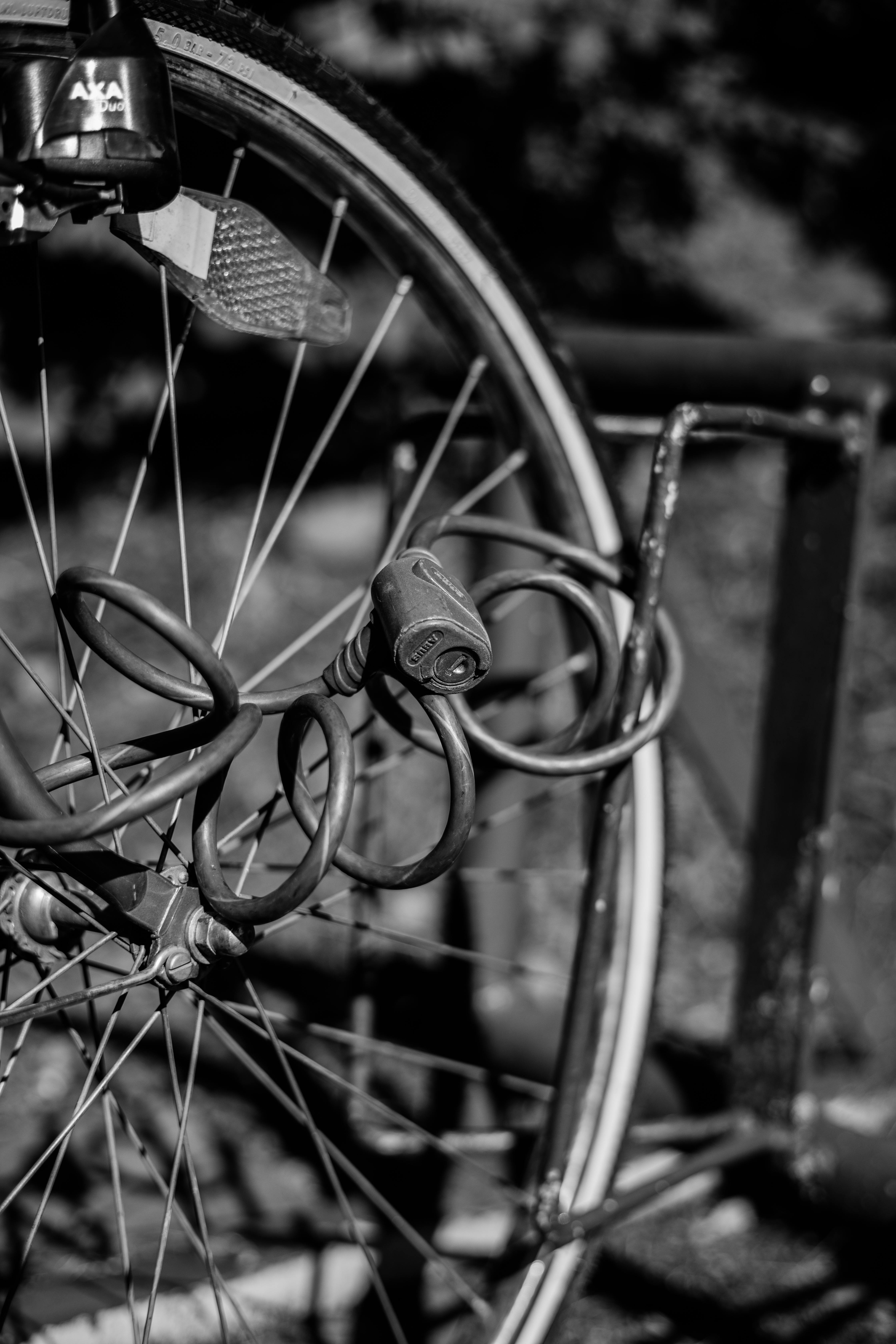 Bike Wheel Locked to Stand · Free Stock Photo