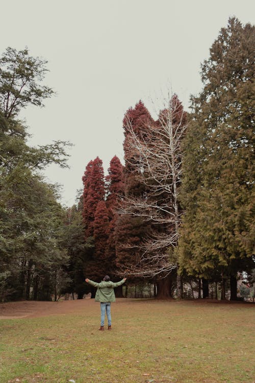 Darmowe zdjęcie z galerii z drzewa, fotografia mody, gestykulując