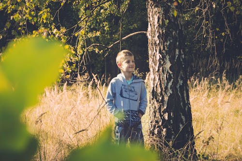 無料 茶色の背の高い木の横に立っている少年 写真素材