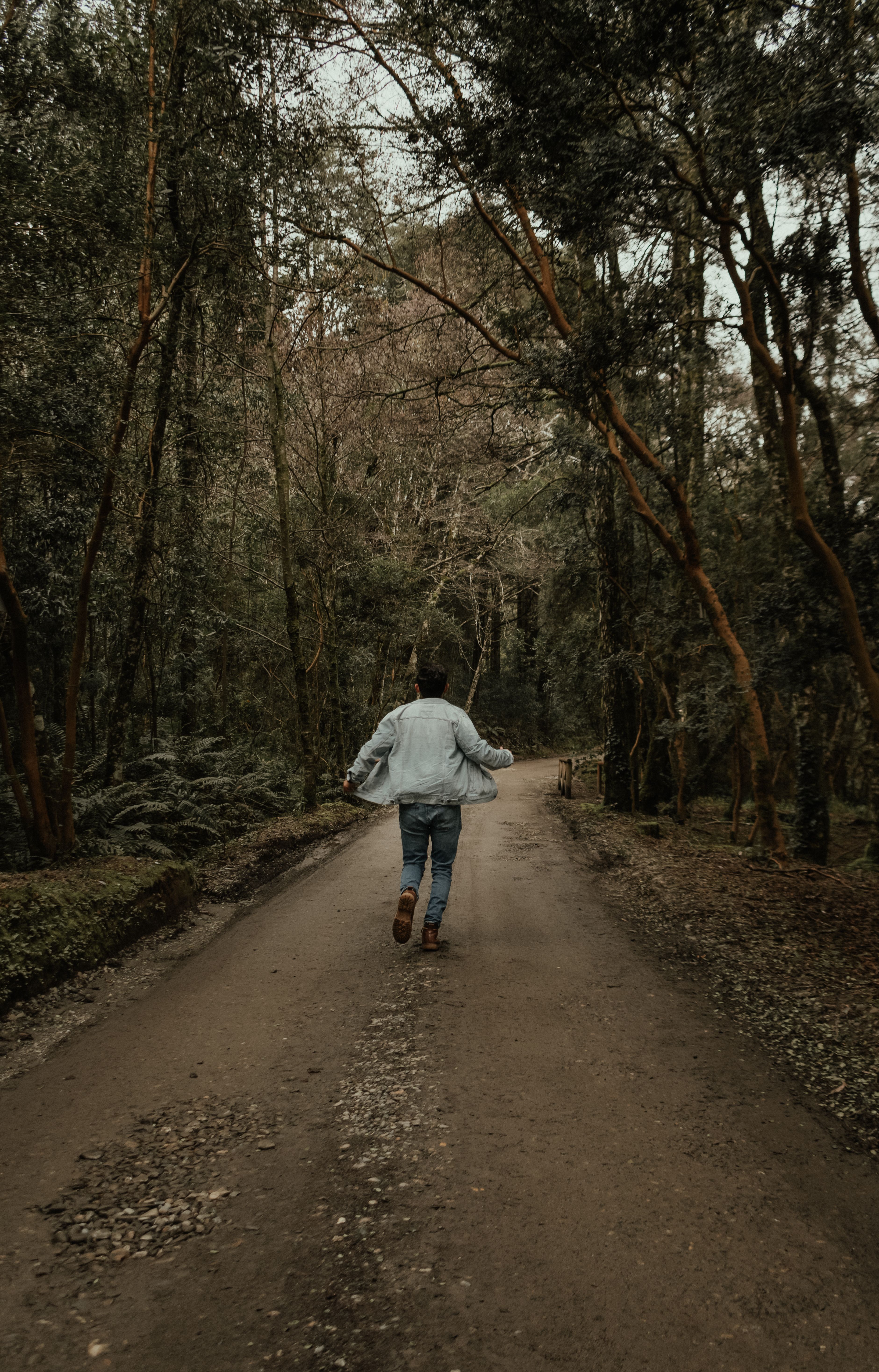 A person walking down a forest path among tall trees in Valdivia, Chile. Captured during the day.