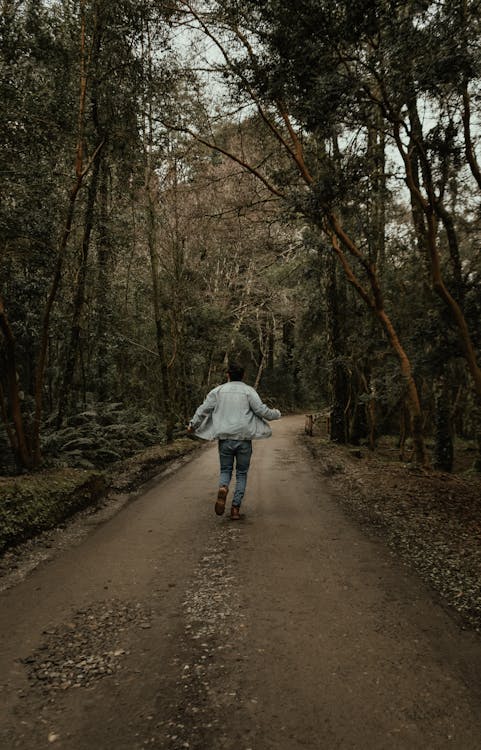Man Walking on a Path in a Forest 
