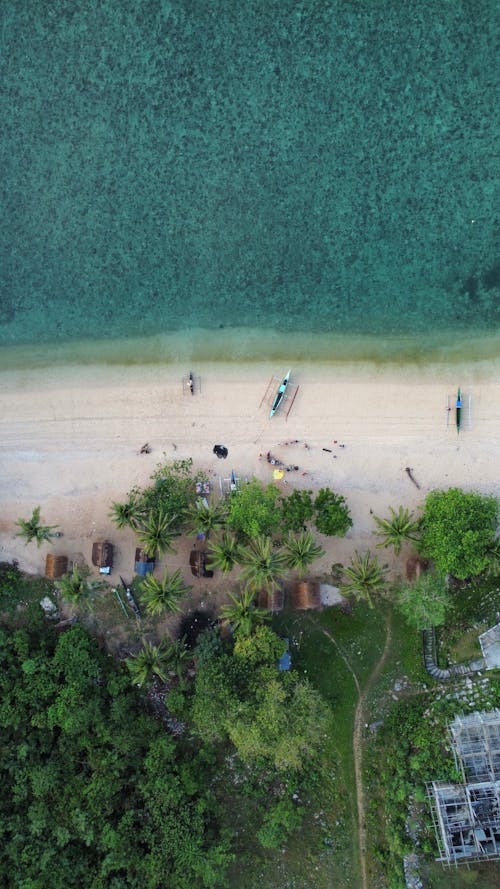 คลังภาพถ่ายฟรี ของ ชายทะเล, ชายหาด, ดูนกตา