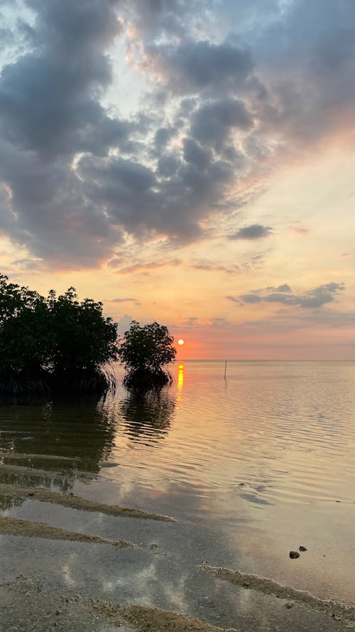 Δωρεάν στοκ φωτογραφιών με mangroves, αντανάκλαση, δύση του ηλίου