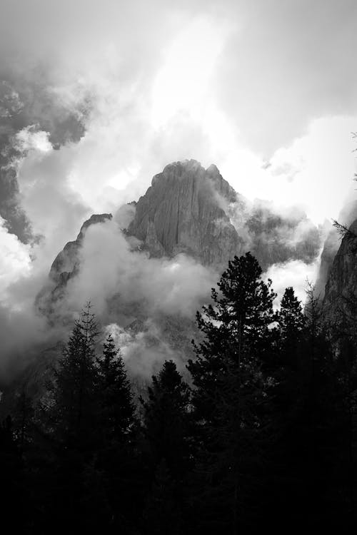 Fotos de stock gratuitas de bosque espeso, montañas dolomitas, nubes en el cielo