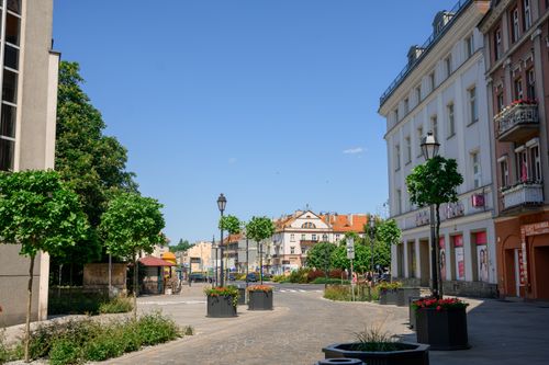 Free Sunny urban street with historic buildings and vibrant greenery, perfect for travel inspiration. Stock Photo