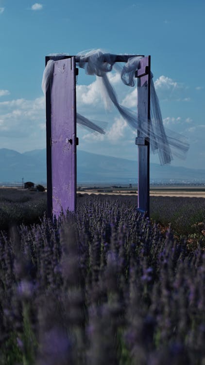 Large Doorway on a Lavender Field · Free Stock Photo