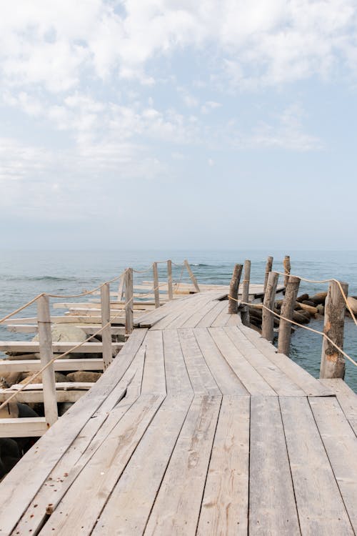 Fotos de stock gratuitas de de madera, horizonte, litoral
