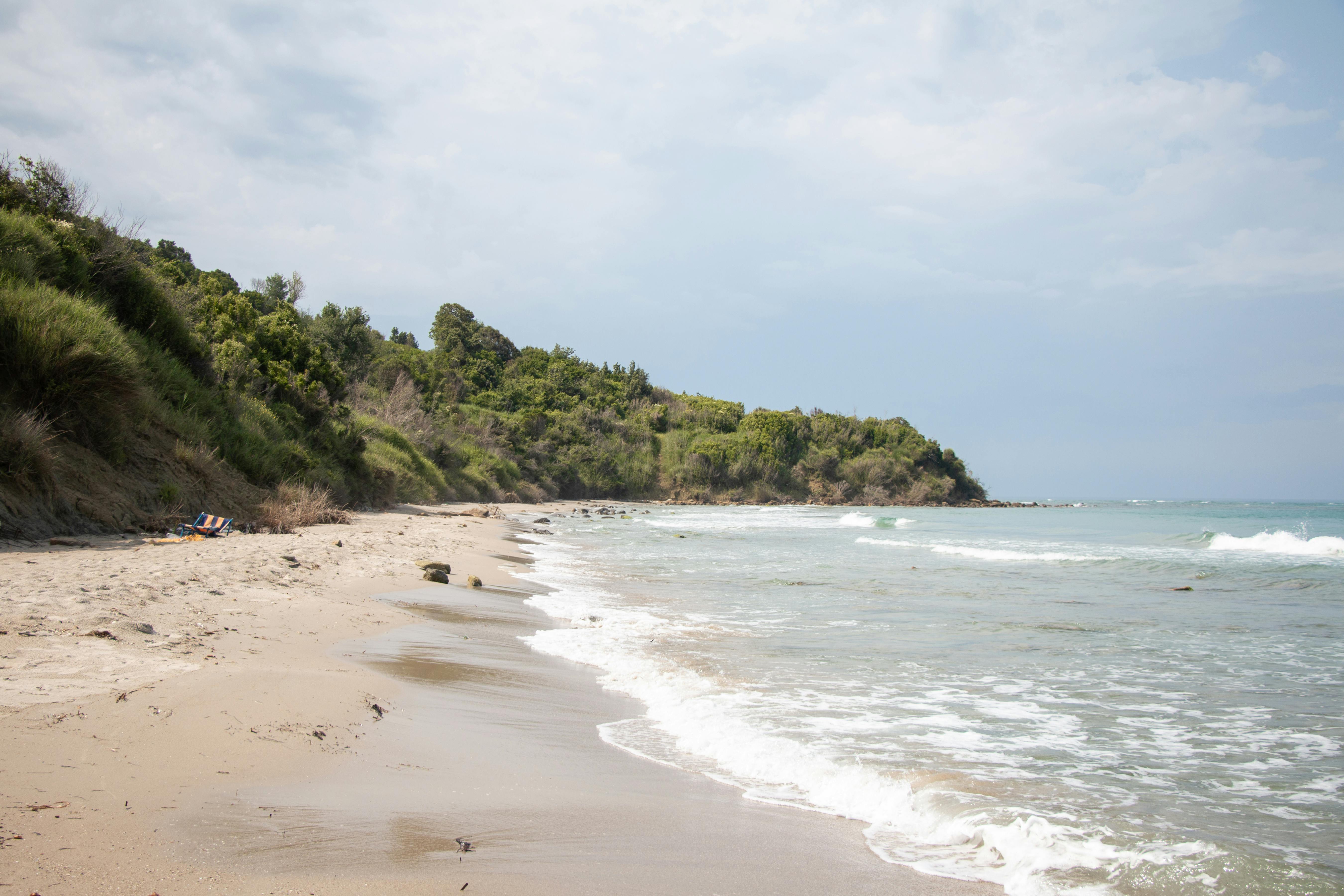 Sandy beach in Albania with lush greenery