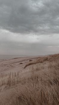 Moody beachscape featuring stormy skies and sandy dunes, perfect for atmospheric settings.