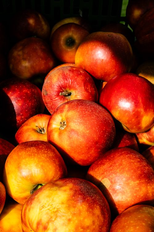 Free A stack of ripe, shiny red apples bathed in sunlight showcasing freshness and health. Stock Photo