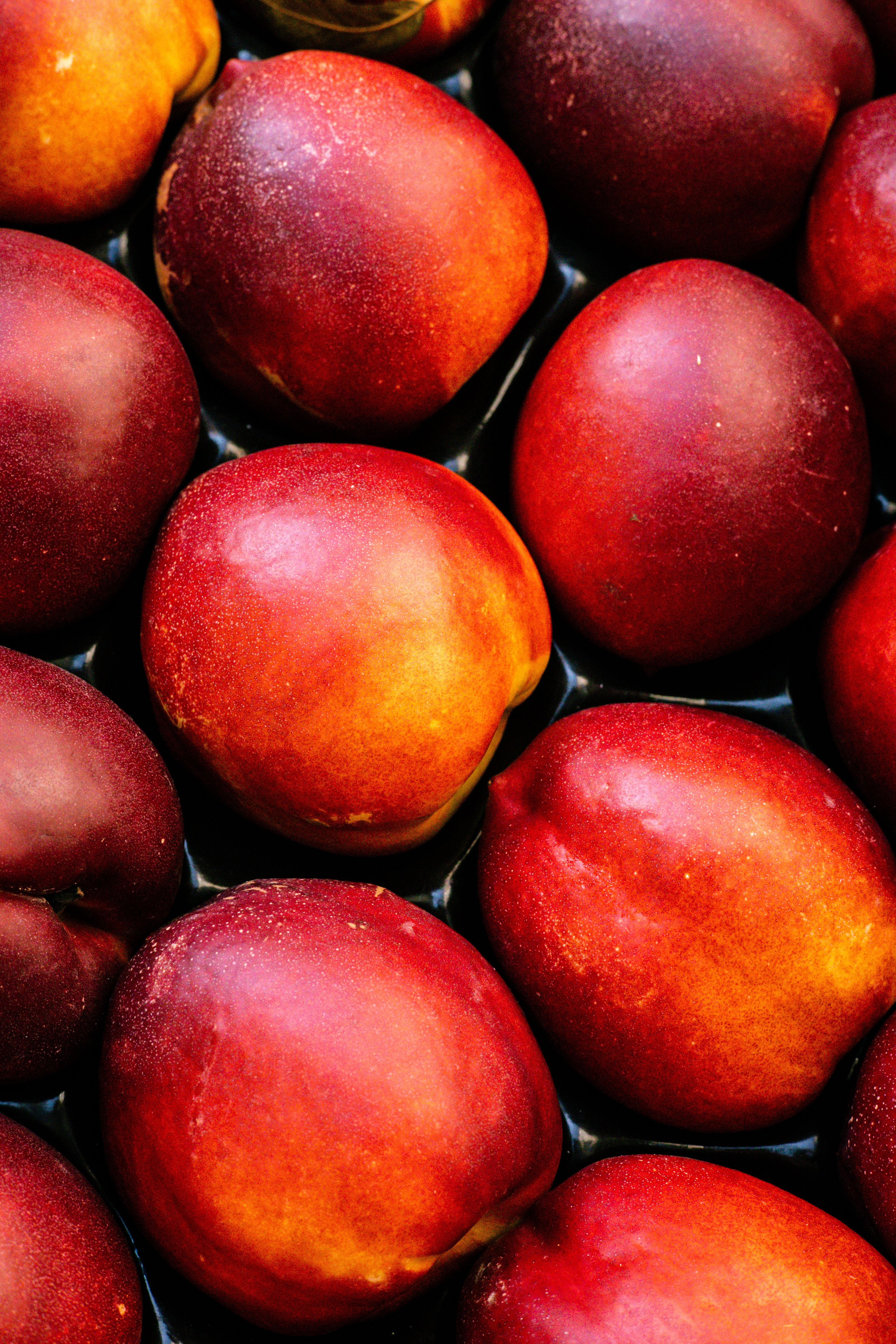 Fresh Ripe Peaches in Box · Free Stock Photo