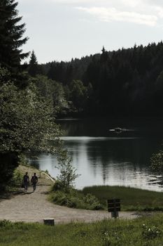 Peaceful forest lake with a dirt trail, trees, and serene reflections captured from a vertical perspective.