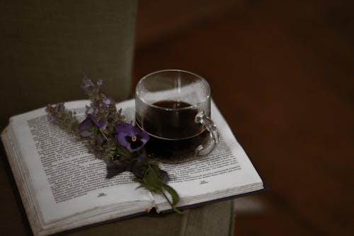 咖啡, 喝, 新鮮 的 免费素材图片