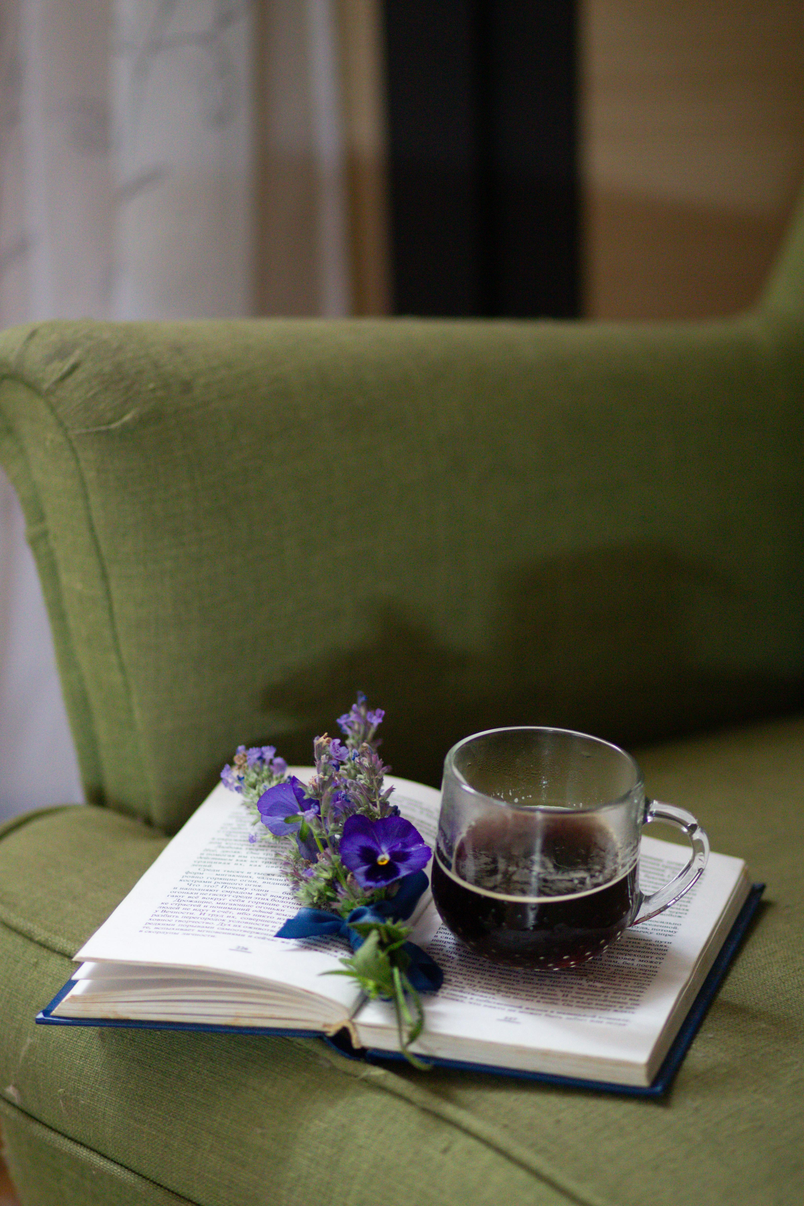 Free A cup of coffee placed elegantly on an open book with flowers, set on a green couch. Stock Photo