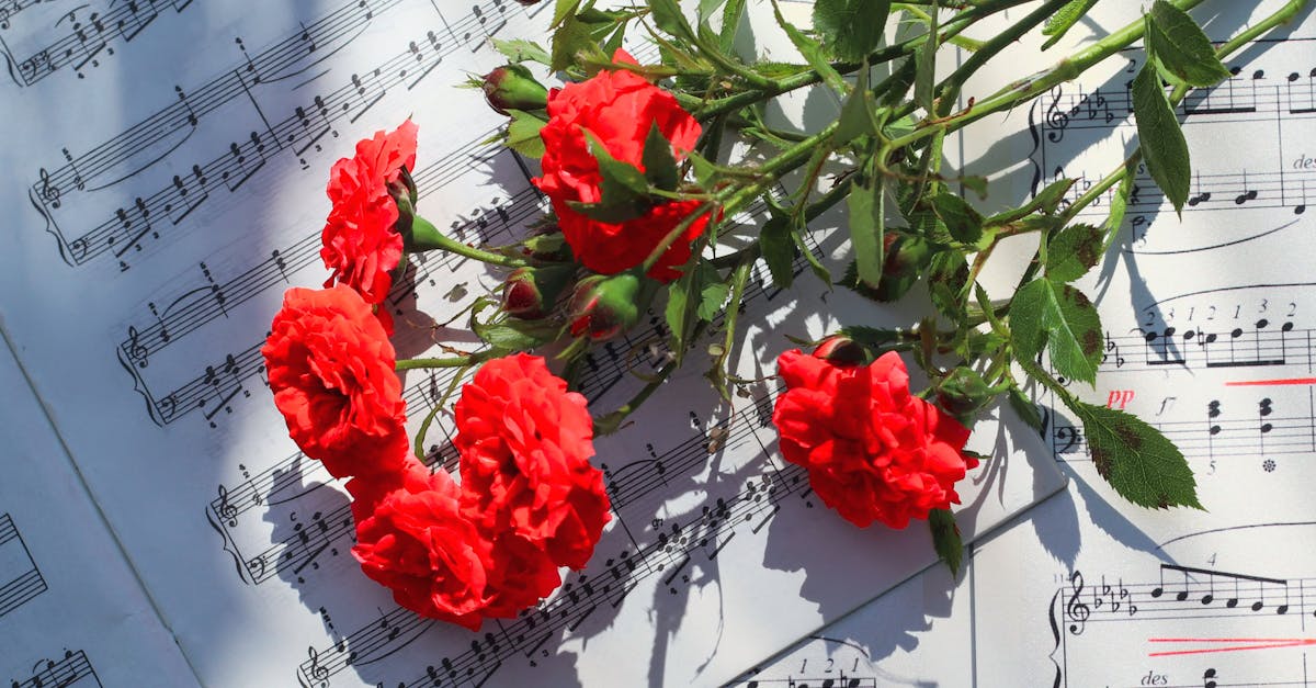 Discover New Music Genres for a Relaxed Weekend