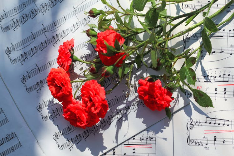 Red Roses On Music Notes