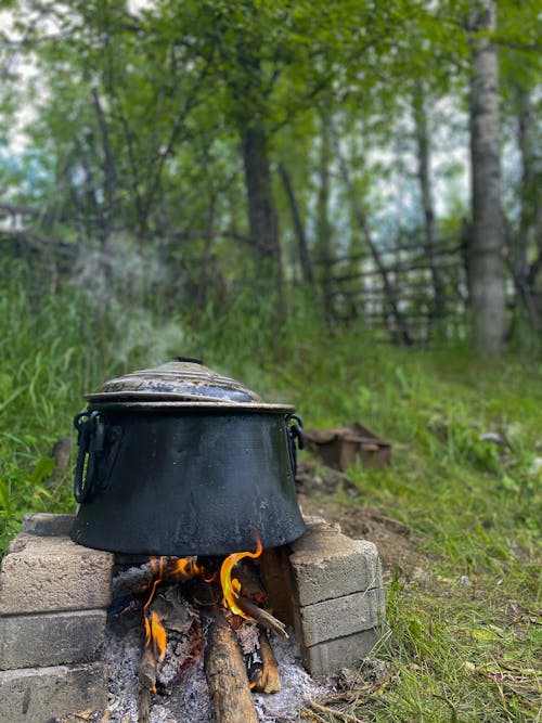 Gratis lagerfoto af foodie, friluftsmenneske, nedbrud