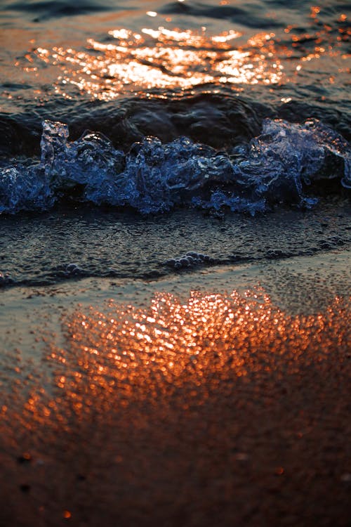 Foto stok gratis gelombang, laut, matahari terbenam