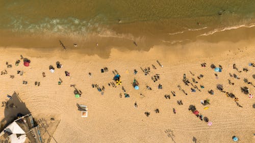Бесплатное стоковое фото с вид сверху, люди, море