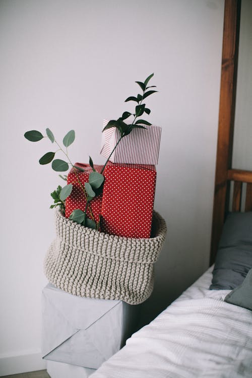 Green-leafed Plant in Gray Knitted Container