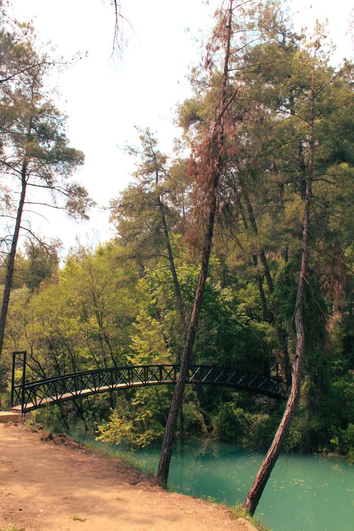Free Nature Stock Photo