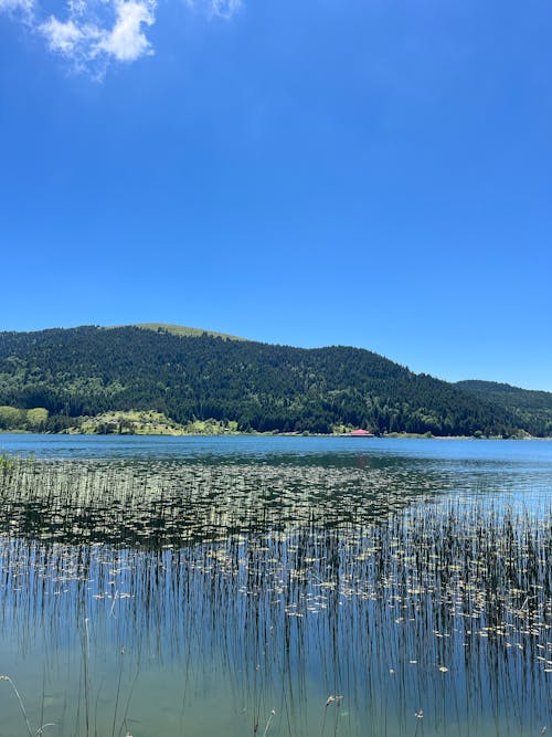 Foto stok gratis pemandangan danau, sisi danau